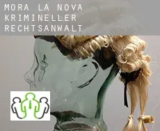 Móra la Nova  krimineller rechtsanwalt