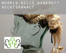 Morris Hills  bankrott rechtsanwalt