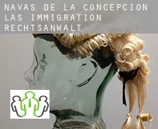 Navas de la Concepción (Las)  immigration rechtsanwalt