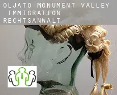 Oljato-Monument Valley  immigration rechtsanwalt