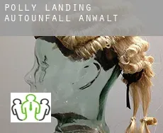 Polly Landing  Autounfall Anwalt