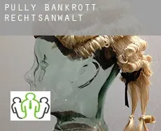 Pully  bankrott rechtsanwalt