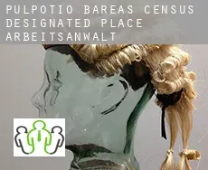Pulpotio Bareas arbeitsanwalt