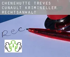 Chênehutte-Trèves-Cunault  krimineller rechtsanwalt