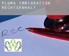 Pluma  immigration rechtsanwalt