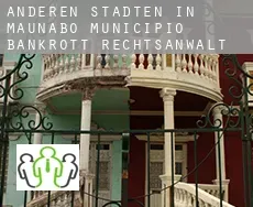 Anderen Städten in Maunabo Municipio  bankrott rechtsanwalt