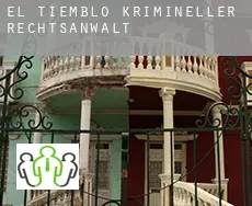 El Tiemblo  krimineller rechtsanwalt