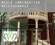 Maule  immigration rechtsanwalt