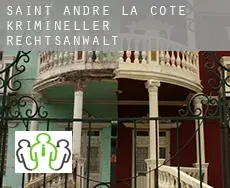 Saint-André-la-Côte  krimineller rechtsanwalt