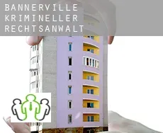 Bannerville  krimineller rechtsanwalt