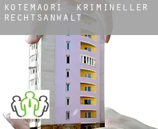 Kotemaori  krimineller rechtsanwalt