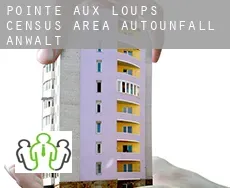 Pointe-aux-Loups (census area)  Autounfall Anwalt
