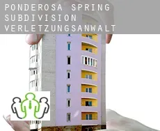 Ponderosa Spring Subdivision  verletzungsanwalt