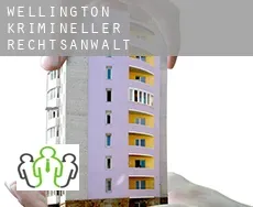 Wellington  krimineller rechtsanwalt