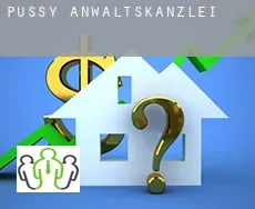 Pussy  Anwaltskanzlei