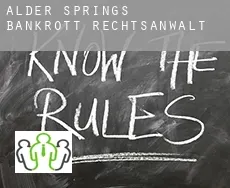 Alder Springs  bankrott rechtsanwalt