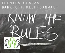 Fuentes Claras  bankrott rechtsanwalt