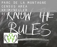 Parc-de-la-Montagne (census area)  krimineller rechtsanwalt