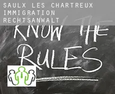 Saulx-les-Chartreux immigration rechtsanwalt