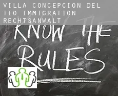 Villa Concepción del Tío immigration rechtsanwalt