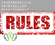 Cahernahallia  krimineller rechtsanwalt