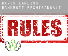 Davis Landing  bankrott rechtsanwalt
