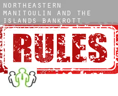 Northeastern Manitoulin and the Islands  bankrott rechtsanwalt