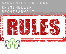 Sargentes de la Lora  krimineller rechtsanwalt