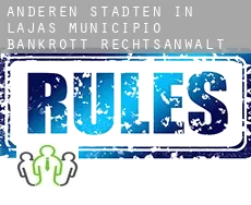 Anderen Städten in Lajas Municipio  bankrott rechtsanwalt