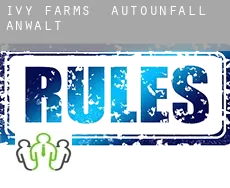 Ivy Farms  Autounfall Anwalt