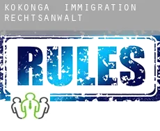 Kokonga  immigration rechtsanwalt