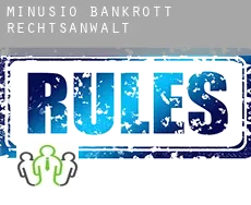 Minusio  bankrott rechtsanwalt