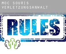 Moc-Souris  verletzungsanwalt