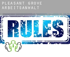 Pleasant Grove  arbeitsanwalt