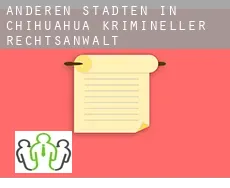 Anderen Städten in Chihuahua  krimineller rechtsanwalt