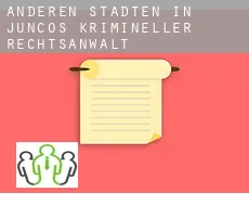 Anderen Städten in Juncos  krimineller rechtsanwalt