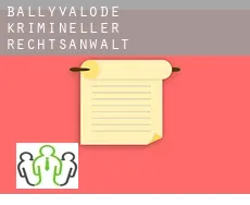 Ballyvalode  krimineller rechtsanwalt
