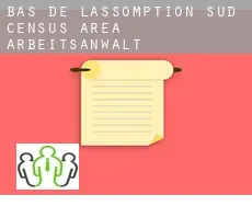 Bas-de-L'Assomption-Sud (census area)  arbeitsanwalt