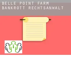 Belle Point Farm  bankrott rechtsanwalt