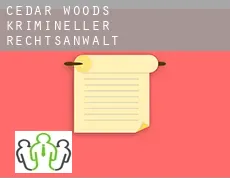 Cedar Woods  krimineller rechtsanwalt