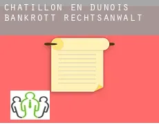 Châtillon-en-Dunois bankrott rechtsanwalt