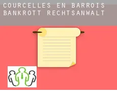 Courcelles-en-Barrois  bankrott rechtsanwalt