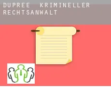 Dupree  krimineller rechtsanwalt