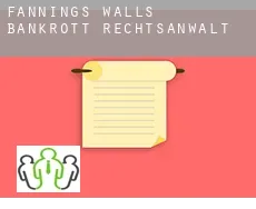 Fanning’s Walls bankrott rechtsanwalt