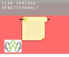 Flag Springs arbeitsanwalt