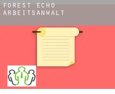 Forest Echo  arbeitsanwalt