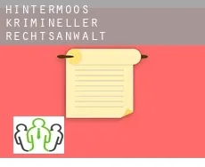 Hintermoos  krimineller rechtsanwalt