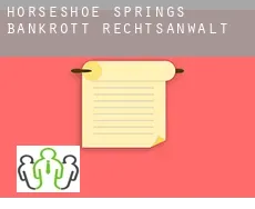 Horseshoe Springs  bankrott rechtsanwalt