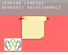 Johnson Landing  bankrott rechtsanwalt