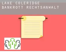 Lake Coleridge  bankrott rechtsanwalt